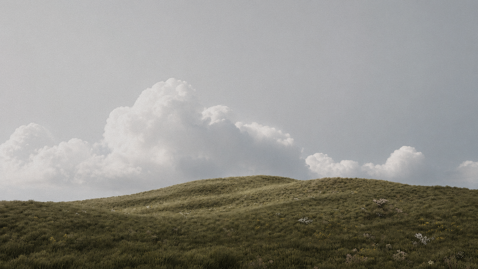 Rolling green hills under a soft overcast sky